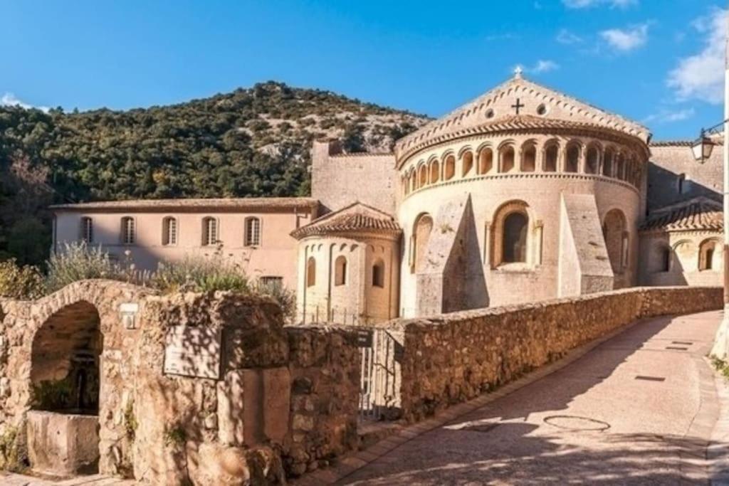 Maison Climatisee Avec Piscine Chauffee Villa Cazilhac  Buitenkant foto